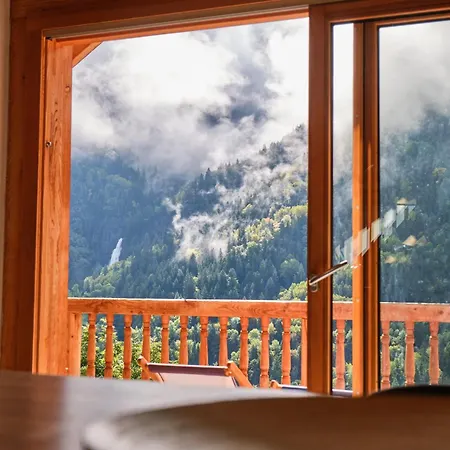 Duplex Sauna Privé Vénosc Le 1618 *